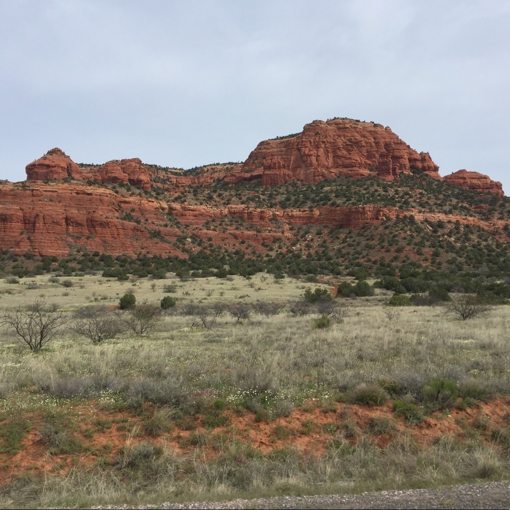 Meet your Posher, Logan